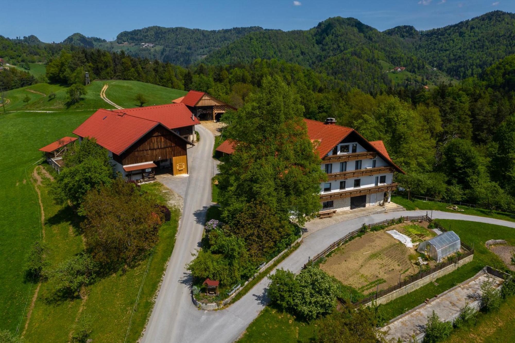 Country House Apat Sostanj Exterior photo