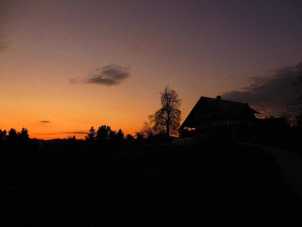 Country House Apat Sostanj Exterior photo